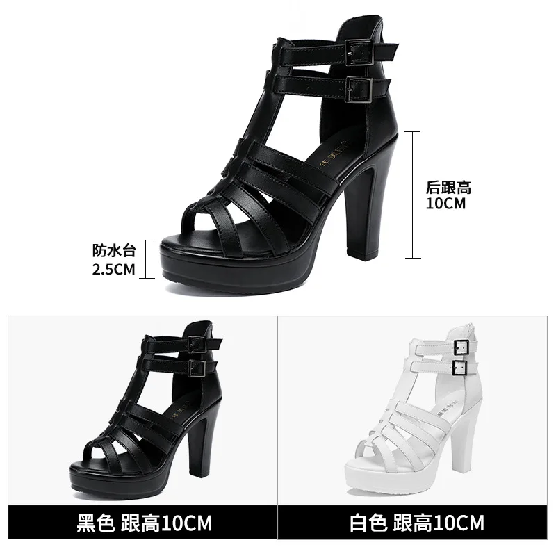 Zapato de gladiador para mujer - Summer Clothing Stores reseña y precio